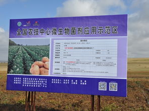 技術推廣服務中心 加速創新與應用的橋梁