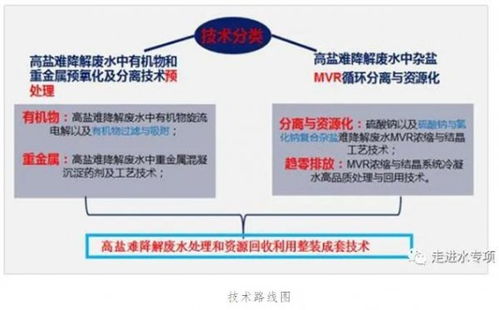 高鹽難降解廢水趨零排放技術實現重大突破與規?；瘧? />
</span>
<span id=